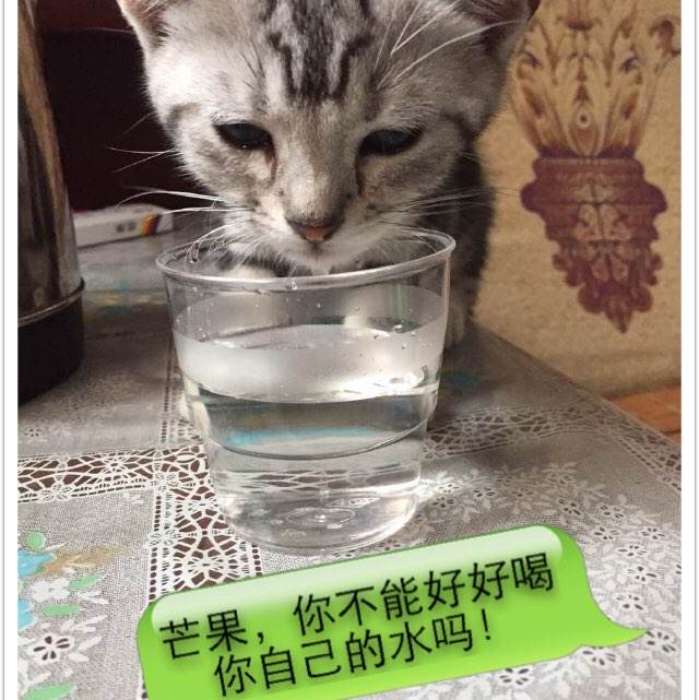 埃尔朗根-纽伦堡大学物理学文凭证书